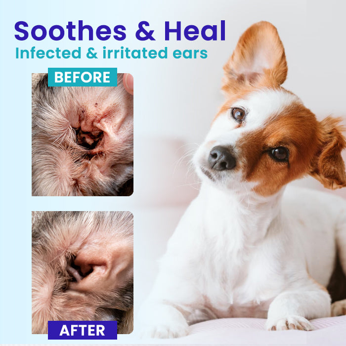 🏆RZXEA™ Pet EarPro Drops FM+ —Heal Fast & Stop the Itch | Advanced Pet Ear Infection Drops for Mites, Yeast & Bacteria - Vet Grade Formula