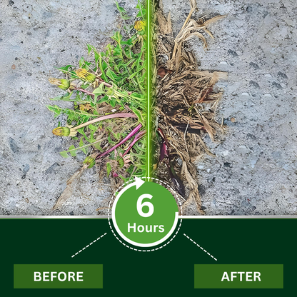 ✂🏆 Professional Dual-Action Herbicide — Kills Toughest Weeds in 6 Hours! Non-Glyphosate Max Strength Formula ✨ (Copy)