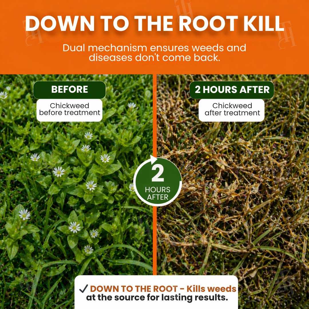 🌱🏆AEXZR® Pet-Safe Weed Killer — 2-Hour Fast Acting, Glyphosate-Free Superweed Eliminator & Soil Restorer ✨
