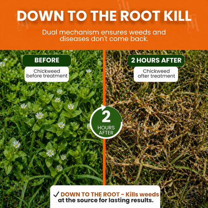 🌱🏆AEXZR® Pet-Safe Weed Killer — 2-Hour Fast Acting, Glyphosate-Free Superweed Eliminator & Soil Restorer ✨