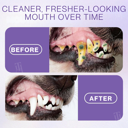 🐉💸Kiss Bad Breath Goodbye! — Pet Oral Care Spray - No-Brushing Dental Cleaner for Dogs & Cats - Plaque & Tartar Remover 🐶🐱