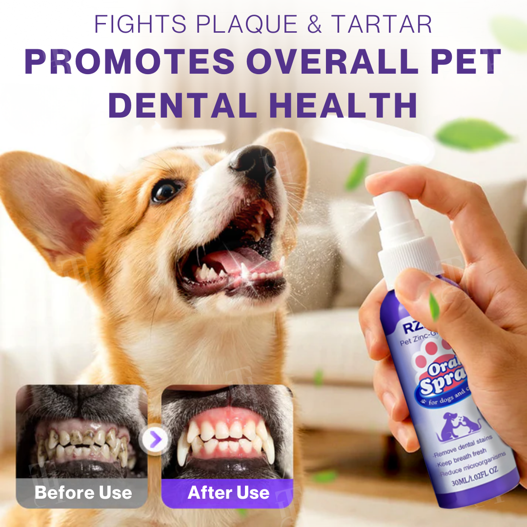 🐉💸Kiss Bad Breath Goodbye! — Pet Oral Care Spray - No-Brushing Dental Cleaner for Dogs & Cats - Plaque & Tartar Remover 🐶🐱