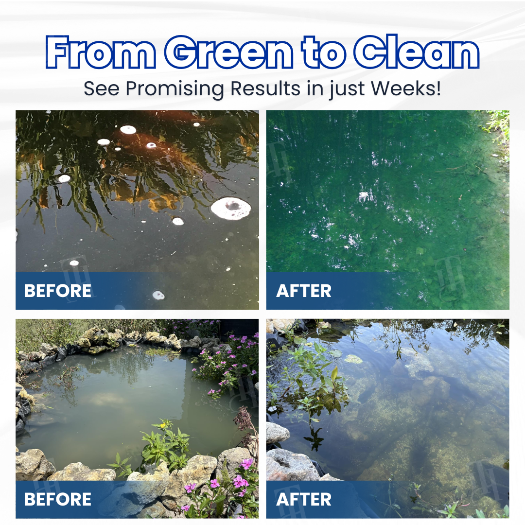 🐟 AEXZR® Aqua-Guardian Pro Formula —Clear Water in 24 Hours, Dual-Bio Algae Control, Safe for All Aquatic Life