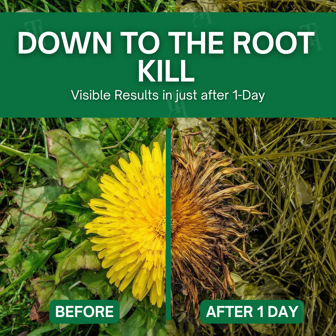 AEXZR® 3 in 1 Max Power Herbicide-Eliminate Weeds & Pests Fast, Protect Your Yard Instantly!