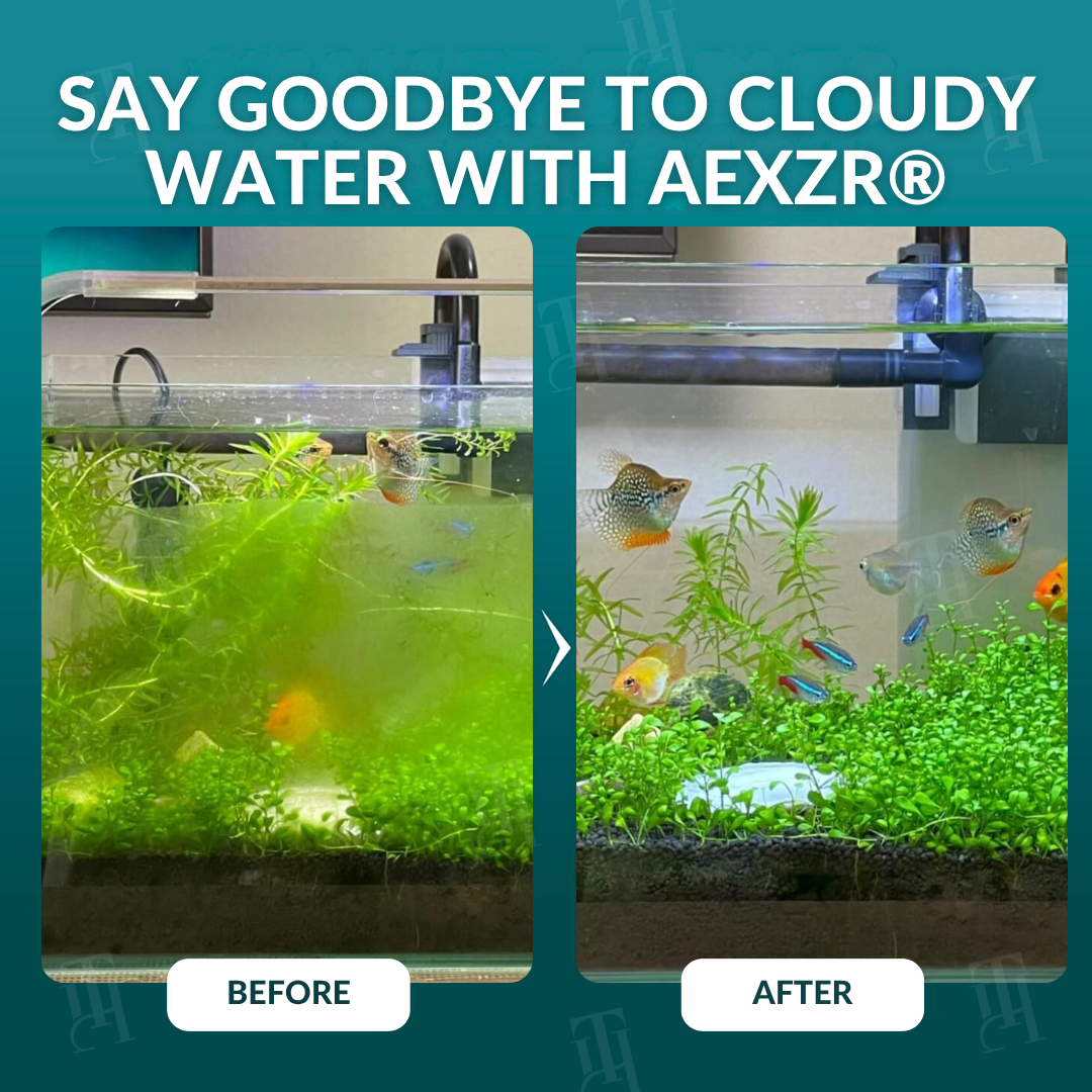 🐟 AEXZR® Aqua-Guardian Blend -60% Ammonia Reduction in 72 Hours, Biological Purification, Stop Losing Fish