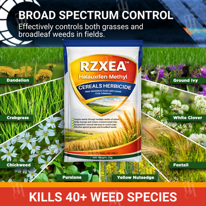 🌾 RZXEA™ Cereals Herbicide —Visible Results in 3 Days, Dual-Action Resistance Management, Broad-Spectrum & Crop-Safe