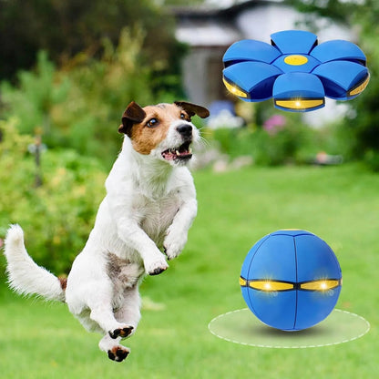 🔥Kids’ Magic Metaball — bouncy ball & flying saucer for family and pets🌈