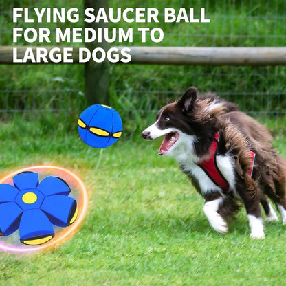 🔄🔥Kids’ Magic Metaball — bouncy ball & flying saucer for family and pets🌈