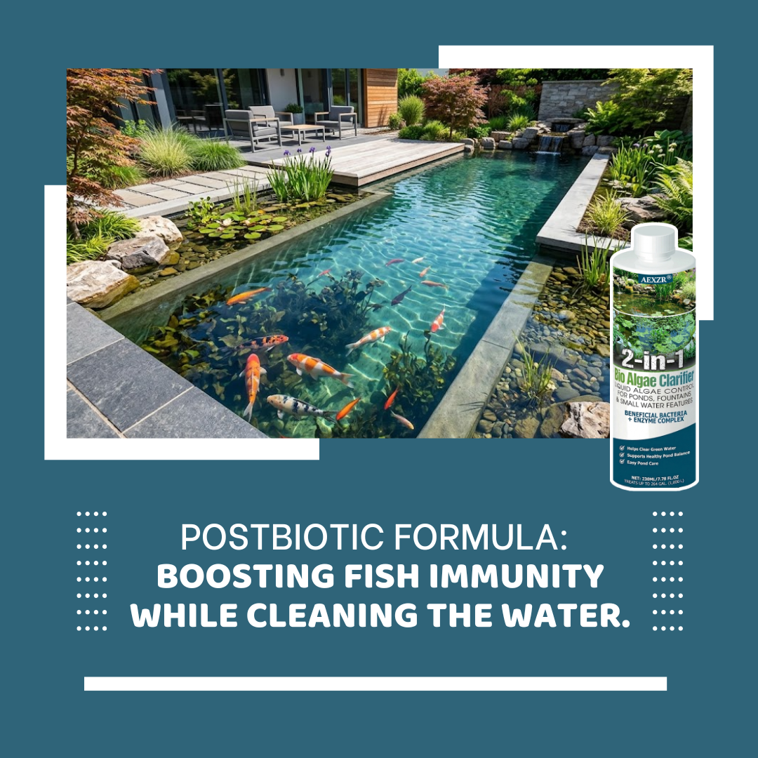 💎 Sparkling Clear Water in 24 Hours! — AEXZR® 2-in-1 Bio Algae Clarifier - Eco-Friendly, Pet-Safe Pond & Aquarium Purifier ✨