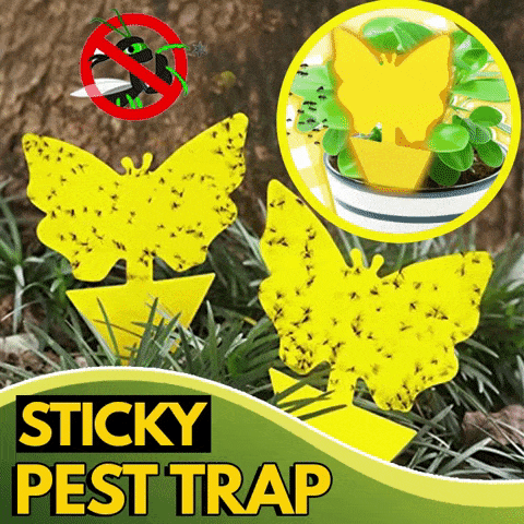 🪴 Sticky Pest Trap —Bright Yellow Attracts & Traps Flying Insects, Non-Toxic & Odorless, Protects Your Plants