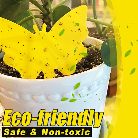 🪴 Sticky Pest Trap —Bright Yellow Attracts & Traps Flying Insects, Non-Toxic & Odorless, Protects Your Plants