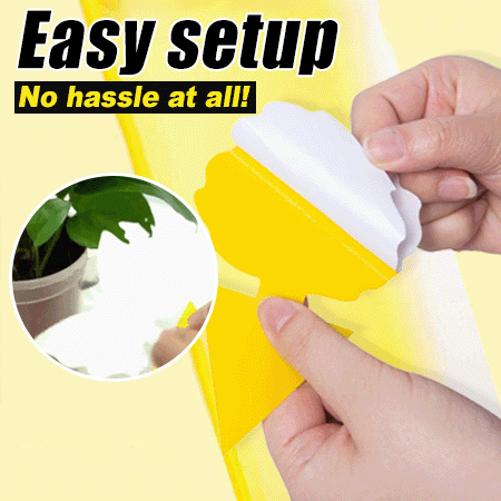 🪴 Sticky Pest Trap —Bright Yellow Attracts & Traps Flying Insects, Non-Toxic & Odorless, Protects Your Plants
