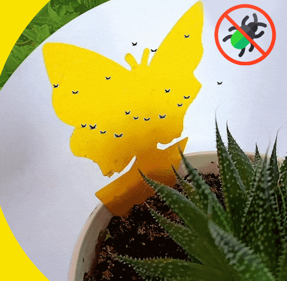 🪴 Sticky Pest Trap —Bright Yellow Attracts & Traps Flying Insects, Non-Toxic & Odorless, Protects Your Plants