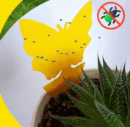 🪴 Sticky Pest Trap —Bright Yellow Attracts & Traps Flying Insects, Non-Toxic & Odorless, Protects Your Plants