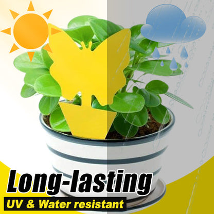 🪴 Sticky Pest Trap —Bright Yellow Attracts & Traps Flying Insects, Non-Toxic & Odorless, Protects Your Plants