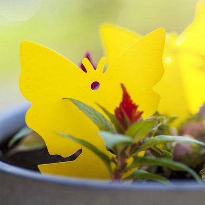 🪴 Sticky Pest Trap —Bright Yellow Attracts & Traps Flying Insects, Non-Toxic & Odorless, Protects Your Plants