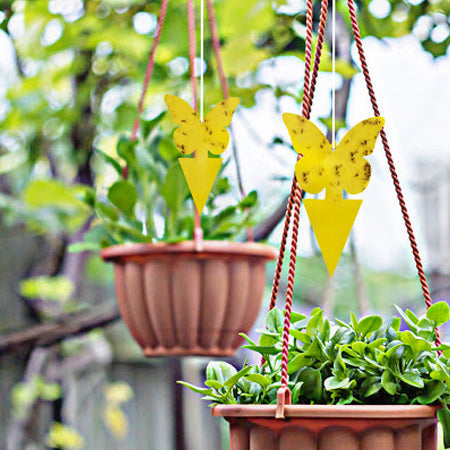 🪴 Sticky Pest Trap —Bright Yellow Attracts & Traps Flying Insects, Non-Toxic & Odorless, Protects Your Plants